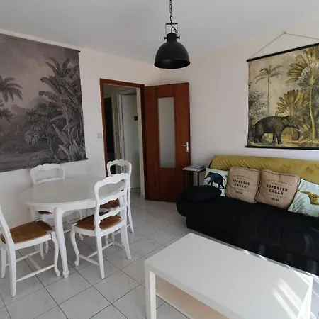 Plein Centre Avec Balcon 아파트 *